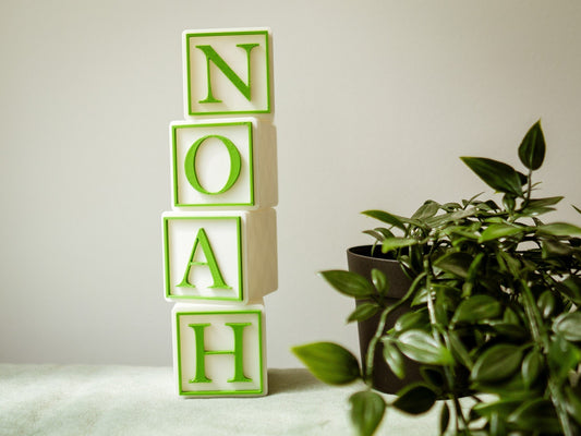 Name 'NOAH' spelled out on white blocks with green borders, placed on a light surface with a plant in the background.