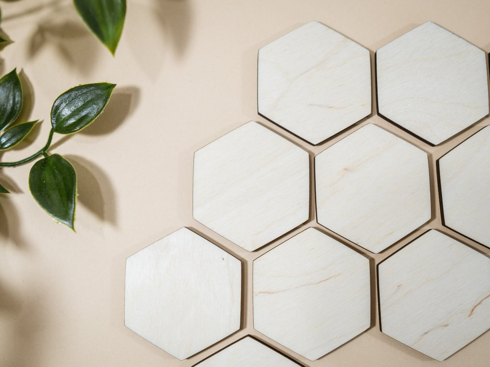 Hexagonal marble tiles on a beige background with green leaves.